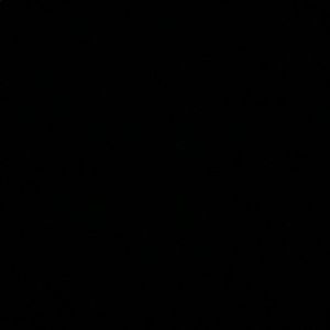 Meet your Posher, Desi